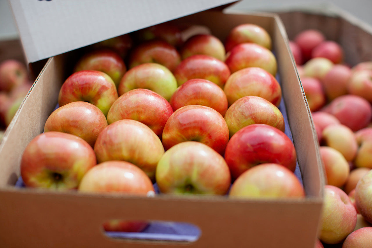 online retailer apples honeycrisp