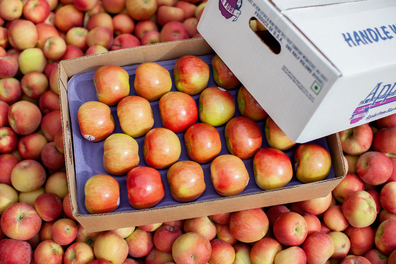 ship apples online honeycrisp box