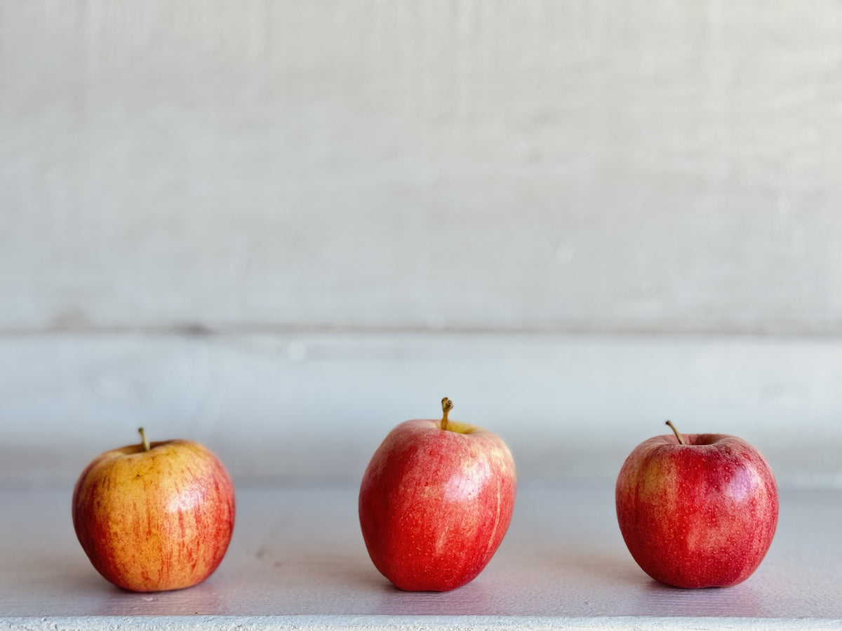 Gala Apples β Family Orchard Box | 20 lb