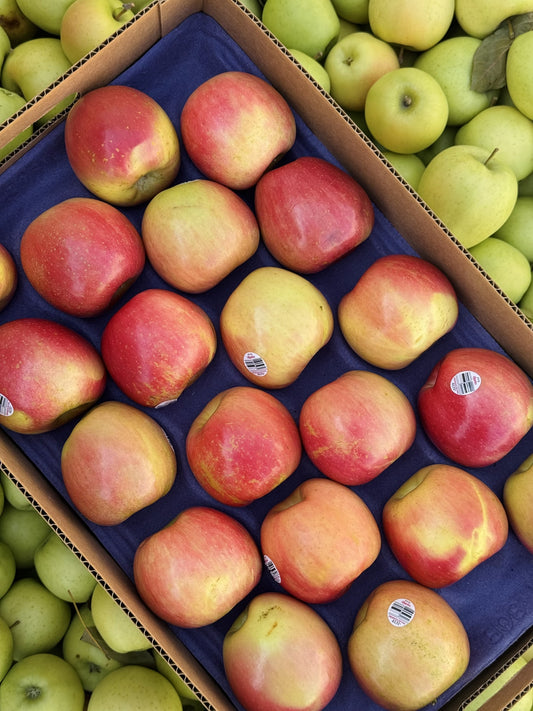 Fuji Apples — Family Orchard Box | 20 lb
