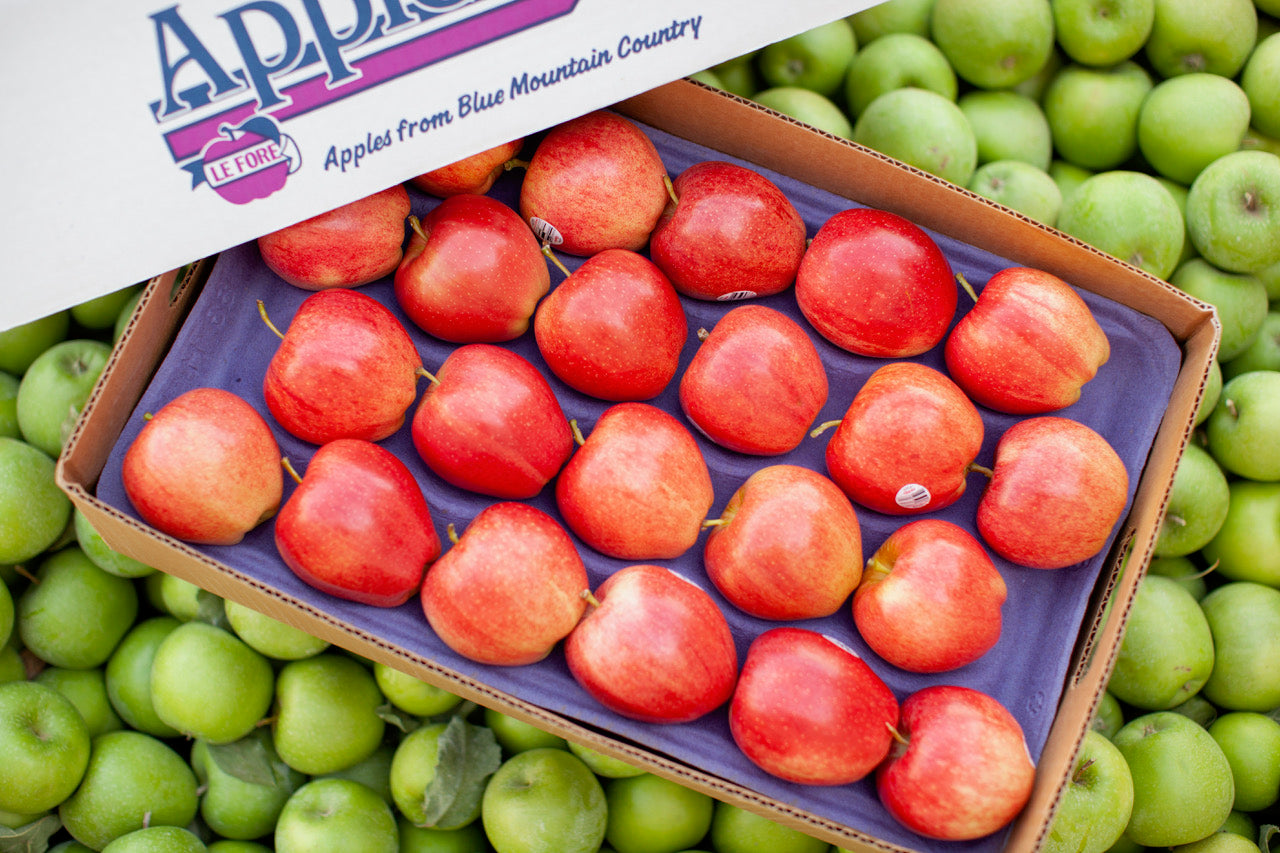 gala apples from apples farm