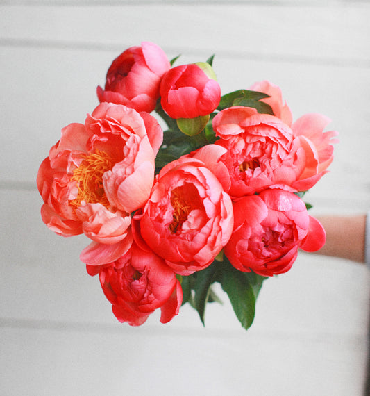 Coral Sunset Peony Bouquet