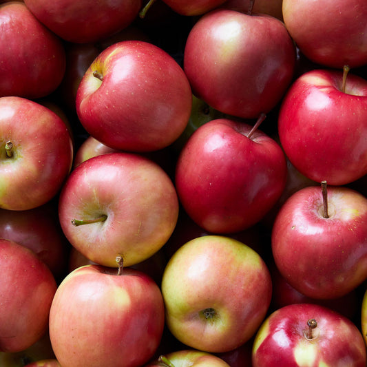 Fuji Apples - Half Box - 20 lbs.