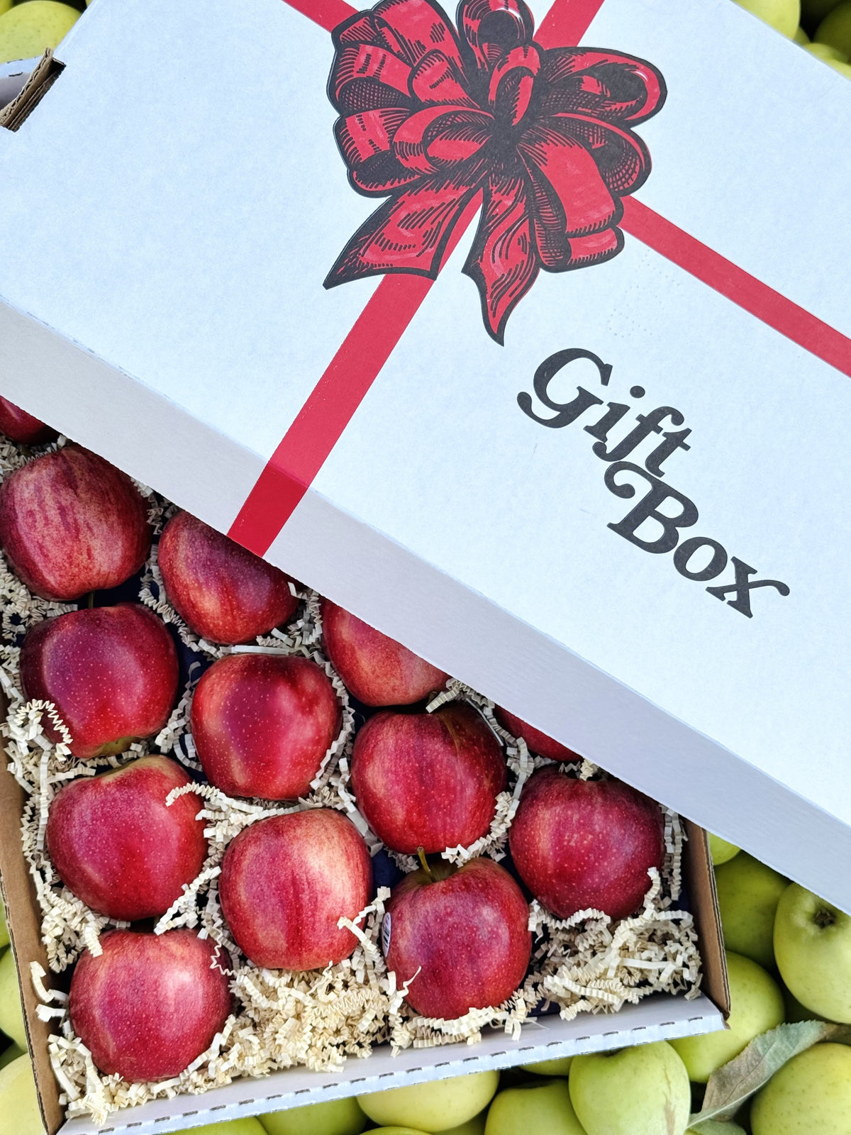 Gala Apples — Orchard Select Gift Box | 10 lb