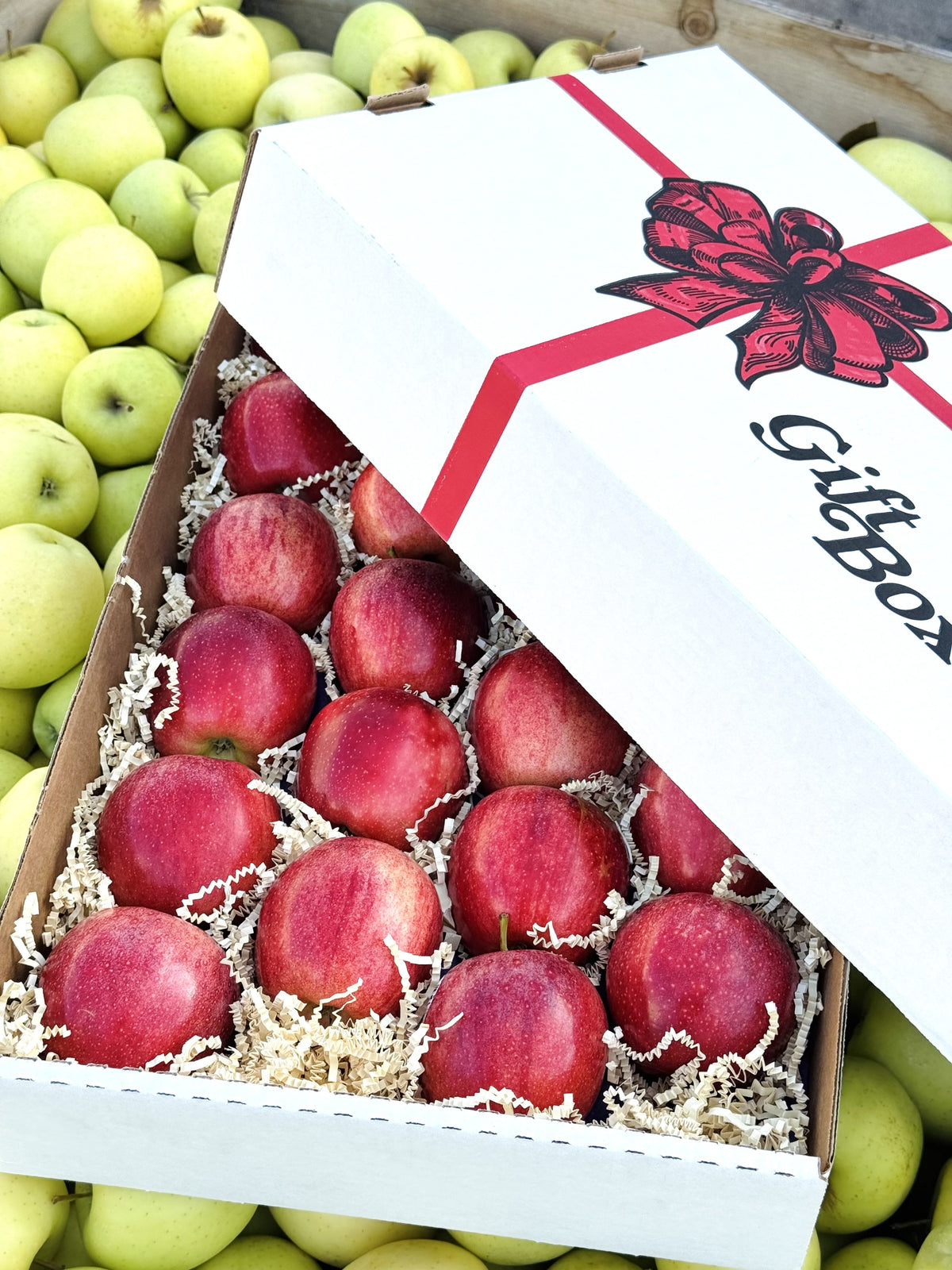 Gala Apples — Orchard Select Gift Box | 10 lb