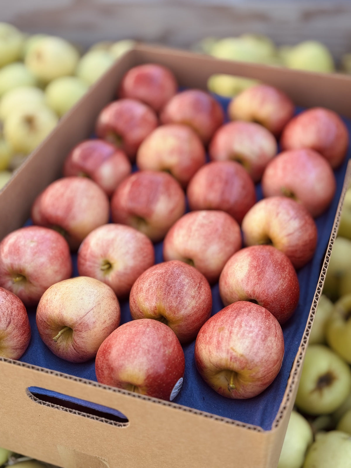 Gala Apples — Family Orchard Box | 20 lb