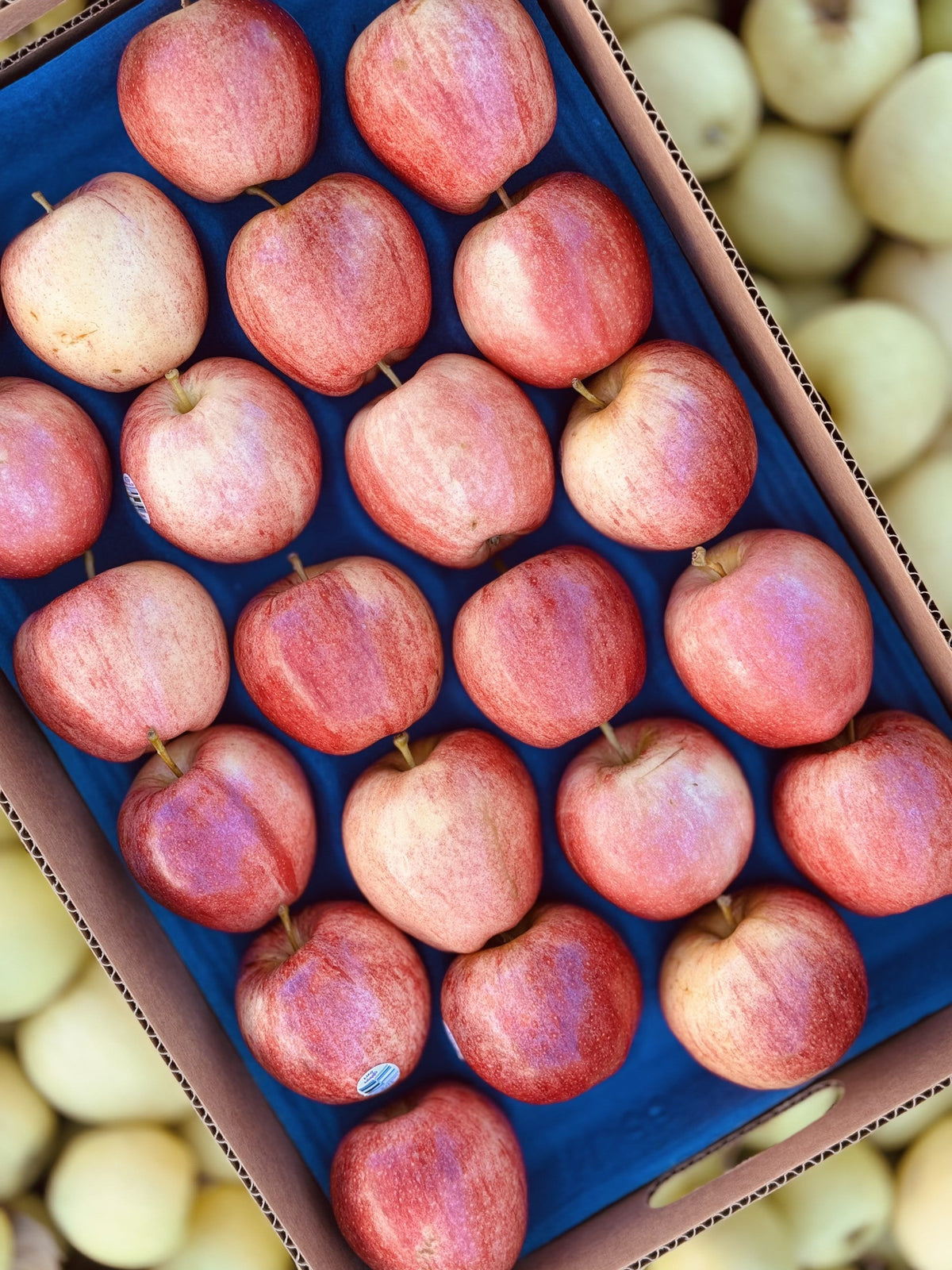 Gala Apples — Family Orchard Box | 20 lb