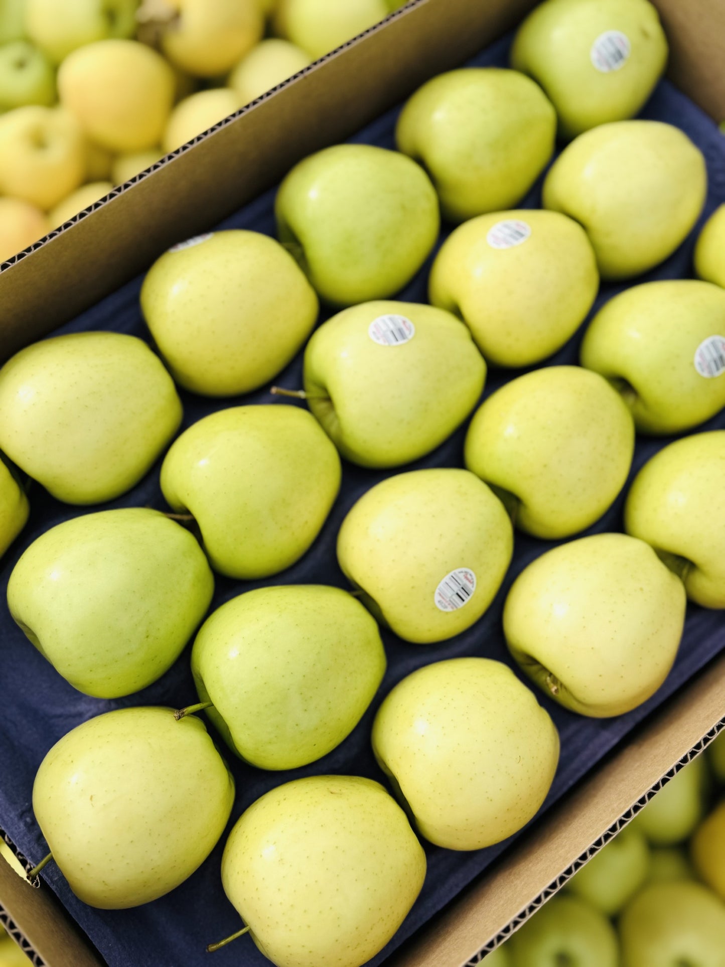 Golden Delicious Apples - Half Box - 20 lbs.