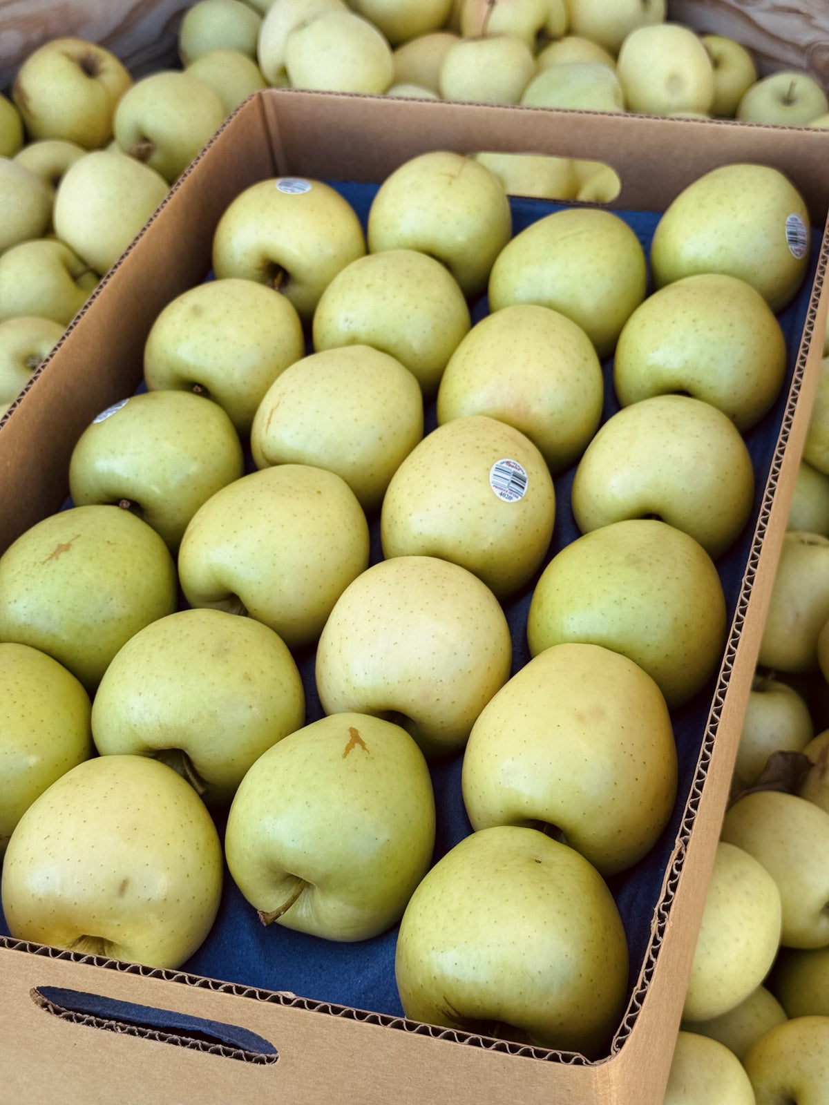 Golden Delicious Apples — Family Orchard Box | 20 lb